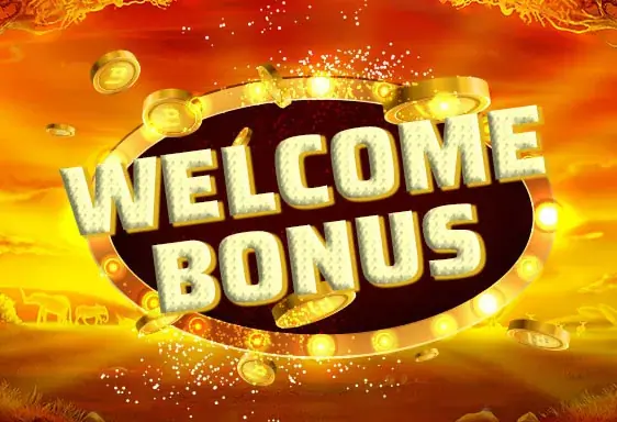 Wild fortune casino Willkommensbonus